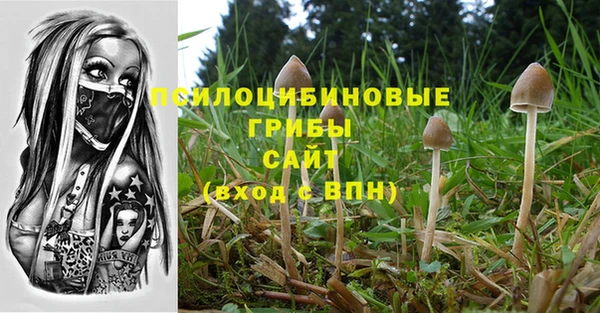 а пвп мука Белокуриха